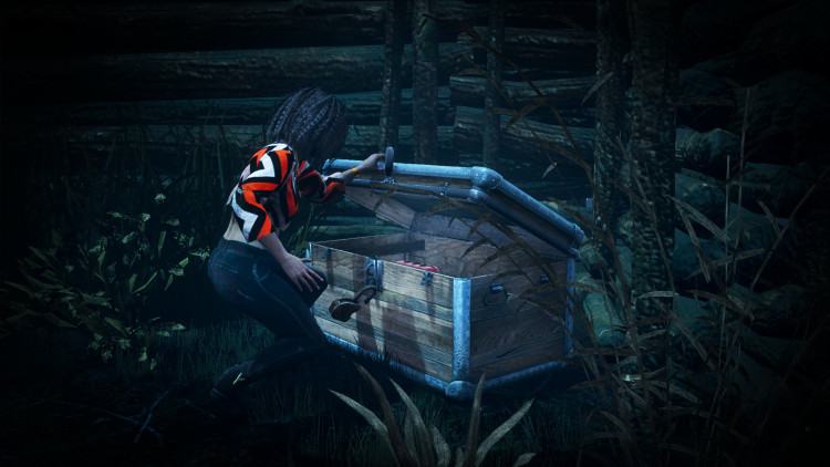 Dead by Daylight, Steam Gift