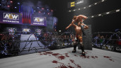 AEW: Fight Forever Elite Edition, Steam Gift