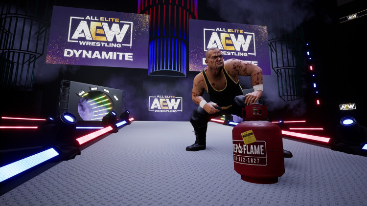 AEW: Fight Forever Elite Edition, Steam Gift