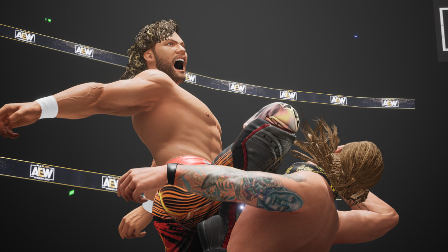 AEW: Fight Forever Elite Edition, Steam Gift