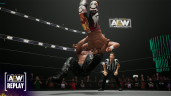 AEW: Fight Forever Elite Edition, Steam Gift