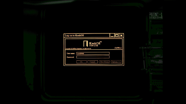 s.p.l.i.t, Steam Gift