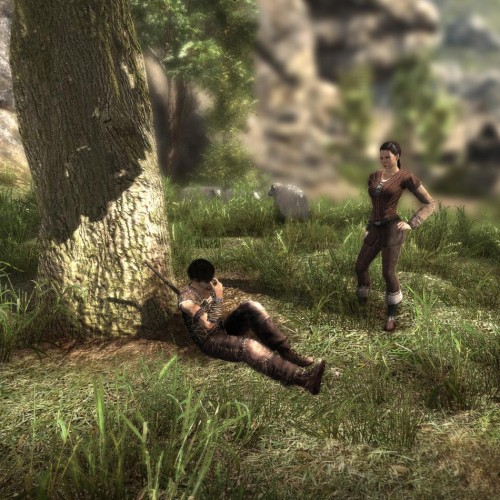 Игра Arcania PC / ПК, активация в стим Steam для региона РФ / Россия цифровой ключ