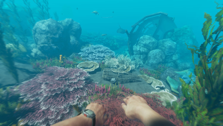 Stranded Deep, Steam Gift