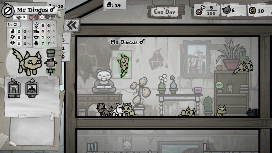 Mewgenics, Steam Gift