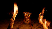 Bootstrap Island, Steam Gift