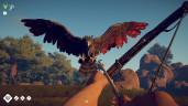 Survival: Fountain of Youth, Steam Gift