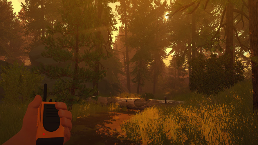 Firewatch, Steam Gift