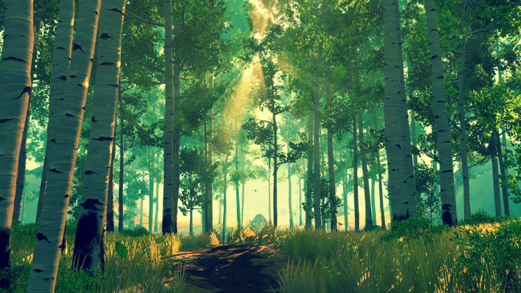 Firewatch, Steam Gift