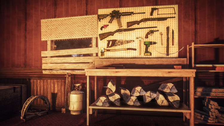 Survive the Nights, Steam Gift