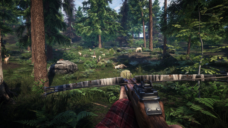 Survive the Nights, Steam Gift