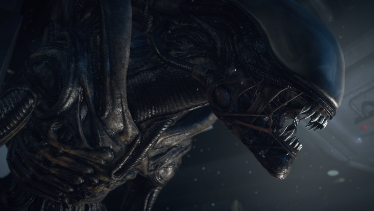 Alien: Isolation, Steam Gift