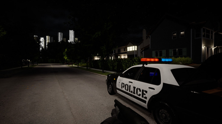 Burkina Faso: Radical Insurgency, Steam Gift