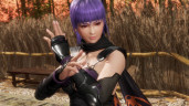 DEAD OR ALIVE 6 Last Round - Pre - Purchase, Steam Gift