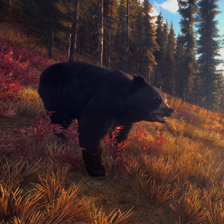 Игра Way of the Hunter для PC / ПК, активация в стим Steam для региона РФ / Россия цифровой ключ