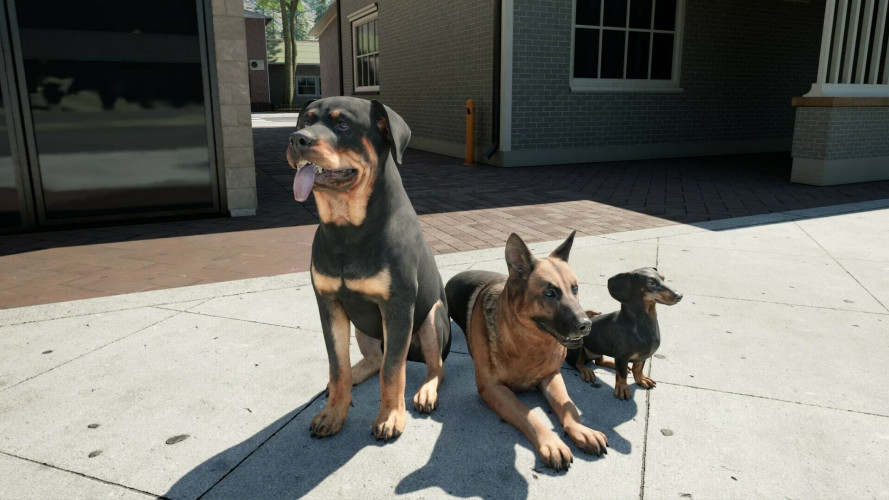 Ranch Simulator: Build, Hunt, Farm, Steam Gift