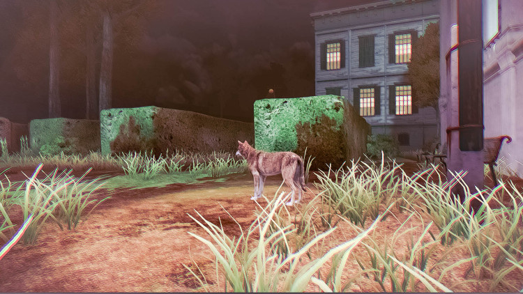 Rabbit Riot, Steam Gift