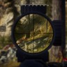 Игра Way of the Hunter Elite Edition для PC / ПК, активация в стим Steam для региона РФ / Россия цифровой ключ