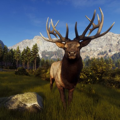 Игра Way of the Hunter Elite Edition для PC / ПК, активация в стим Steam для региона РФ / Россия цифровой ключ