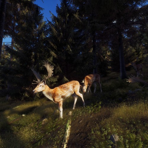 Игра Way of the Hunter Elite Edition для PC / ПК, активация в стим Steam для региона РФ / Россия цифровой ключ