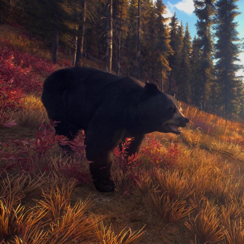 Игра Way of the Hunter Elite Edition для PC / ПК, активация в стим Steam для региона РФ / Россия цифровой ключ