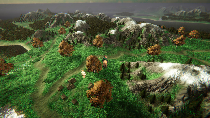 Duel Corp., Steam Gift