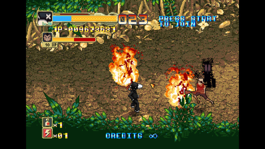 Crouching Pony Hidden Dragon, Steam Gift