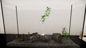 Aquatic Store Simulator, Steam Gift