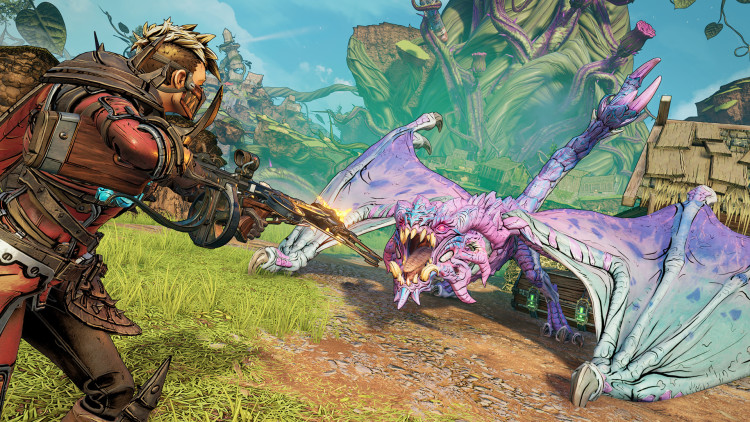 Tiny Tina's Wonderlands, Steam Gift