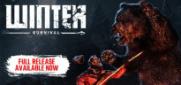 Winter Survival, Steam Gift
