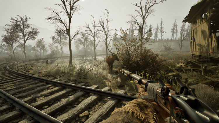 Winter Survival, Steam Gift