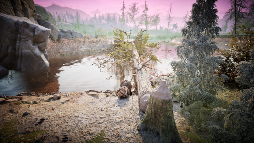 Winter Survival, Steam Gift