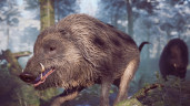 Winter Survival, Steam Gift