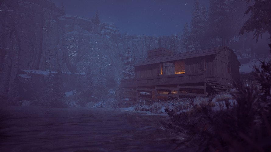 Winter Survival, Steam Gift