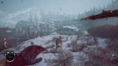 Winter Survival, Steam Gift