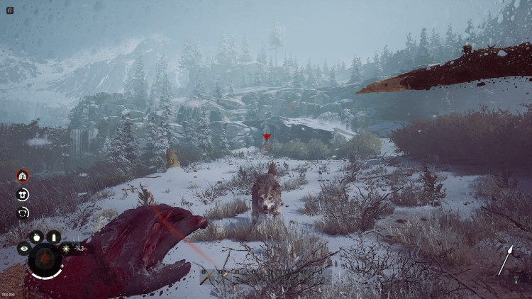 Winter Survival, Steam Gift