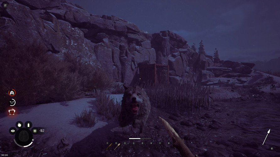 Winter Survival, Steam Gift