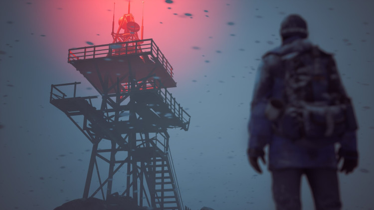 Winter Survival, Steam Gift