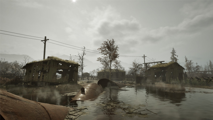 Winter Survival, Steam Gift