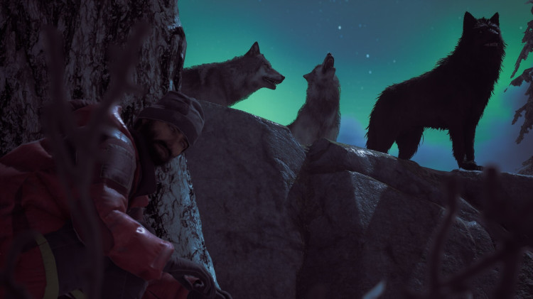 Winter Survival, Steam Gift