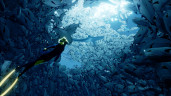 ABZU, Steam Gift