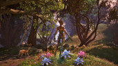 The Elder Scrolls IV: Oblivion Remastered, Steam Gift