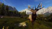 Way of the Hunter, Steam Gift