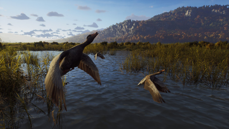 Way of the Hunter, Steam Gift