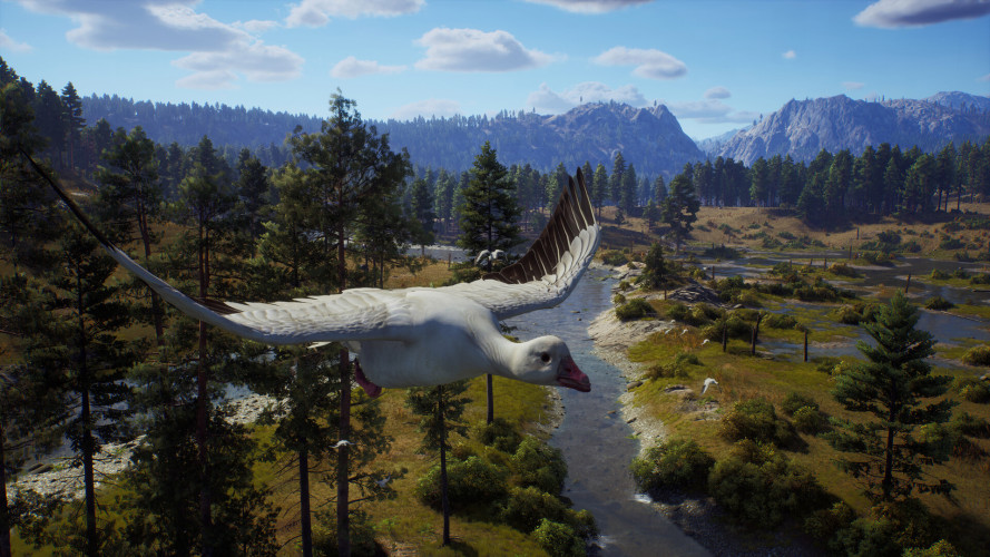 Way of the Hunter, Steam Gift