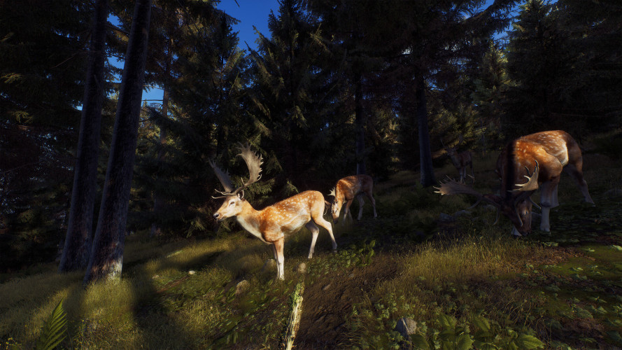 Way of the Hunter - Elite Edition, Steam Gift