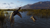 Way of the Hunter - Elite Edition, Steam Gift