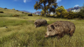 Way of the Hunter - Elite Edition, Steam Gift