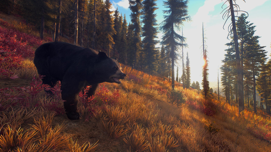 Way of the Hunter - Elite Edition, Steam Gift