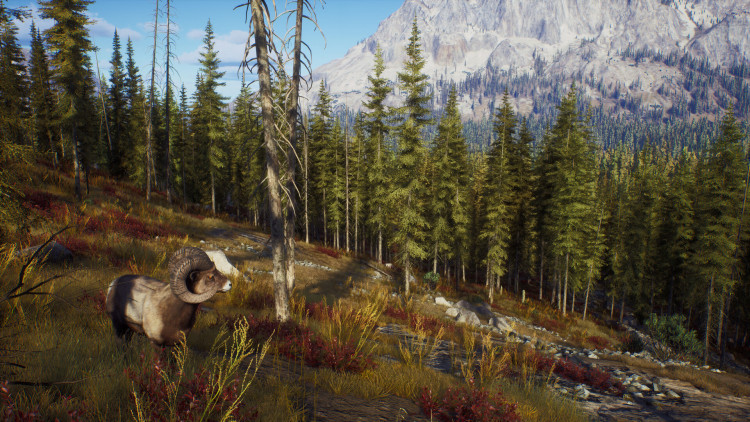 Way of the Hunter - Elite Edition, Steam Gift